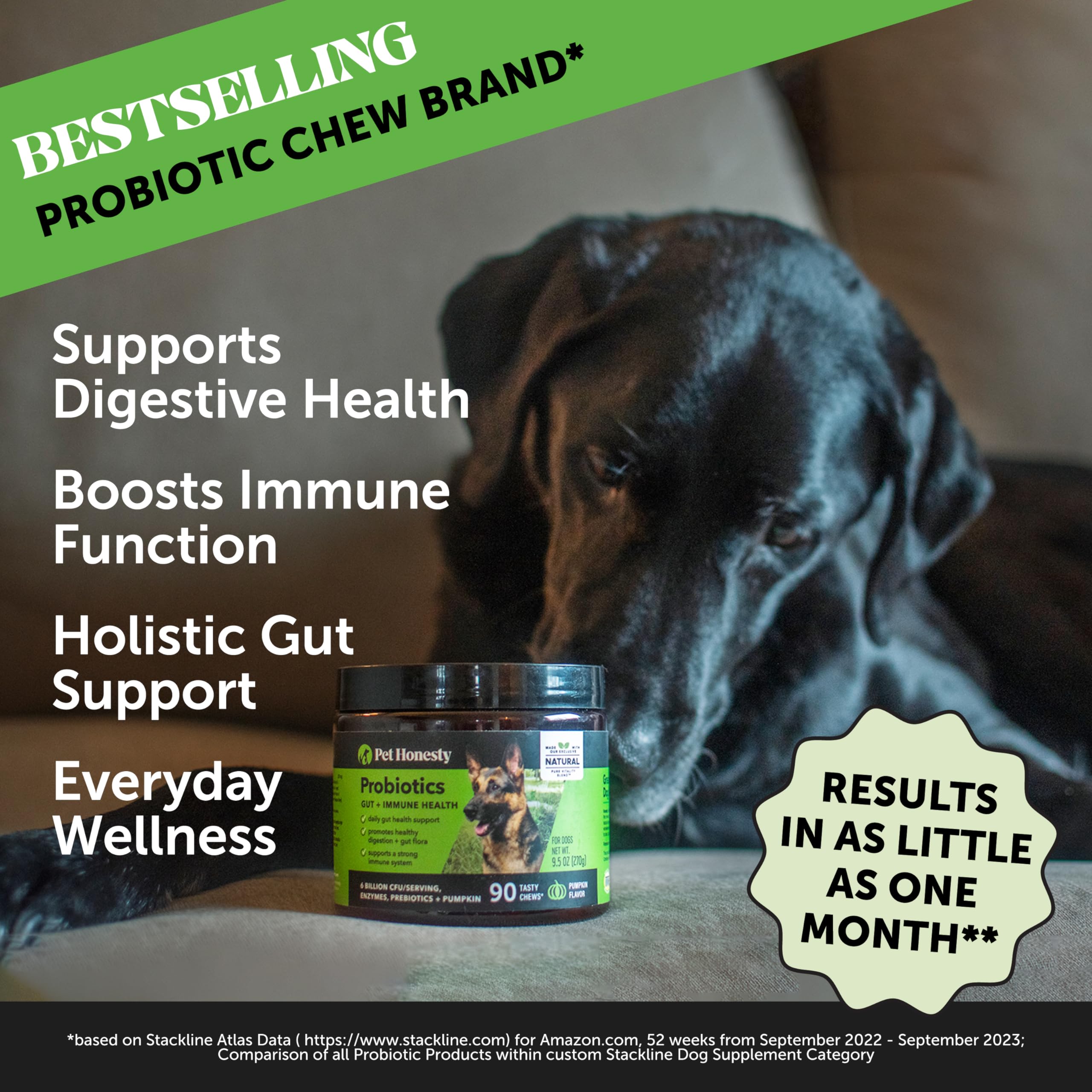 Foto 2 | Probióticos Pet Honesty Para Perros, Apoyo Para La Diarrea Y El Intestino, 90 Unidades - Venta Internacional.