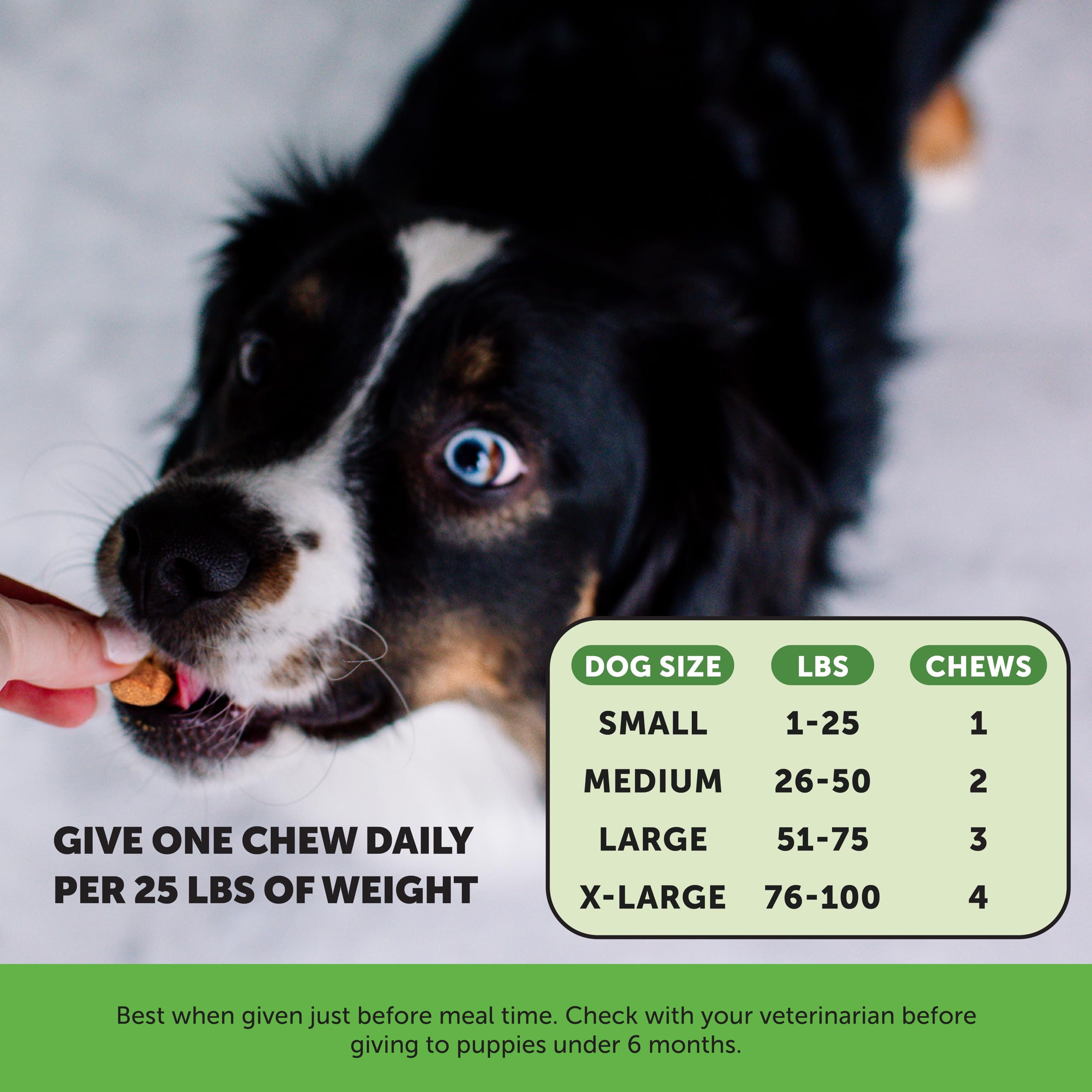 Foto 4 | Probióticos Pet Honesty Para Perros, Apoyo Para La Diarrea Y El Intestino, 90 Unidades - Venta Internacional.