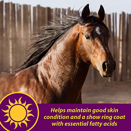 Foto 8 pulgar | Suplemento Horse Health Joint Combo Hoof & Coat 1.7 Kg - Venta Internacional.