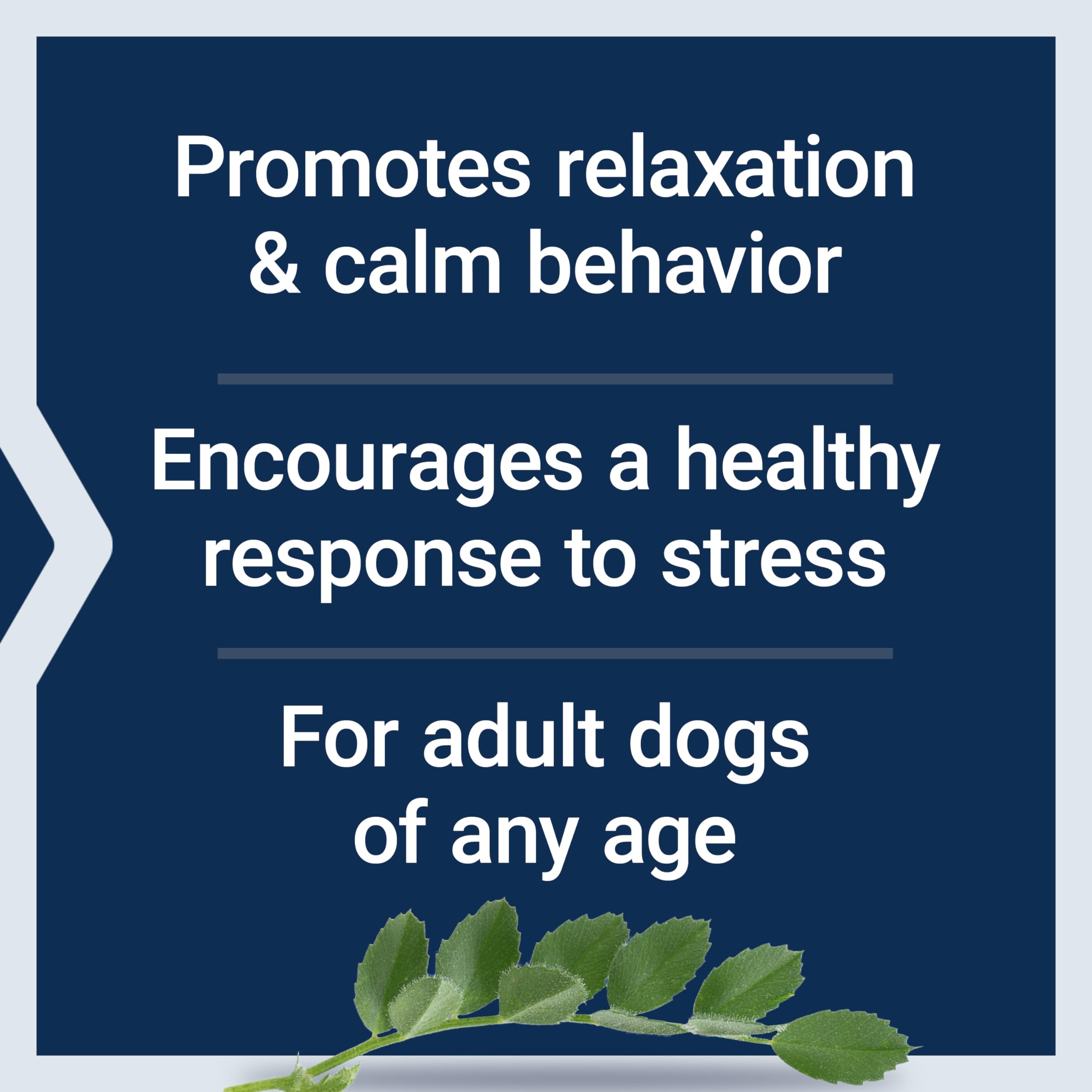 Foto 4 pulgar | Dog Stress & Behavior Soft Chews Life Extension 120 Unidades - Venta Internacional.