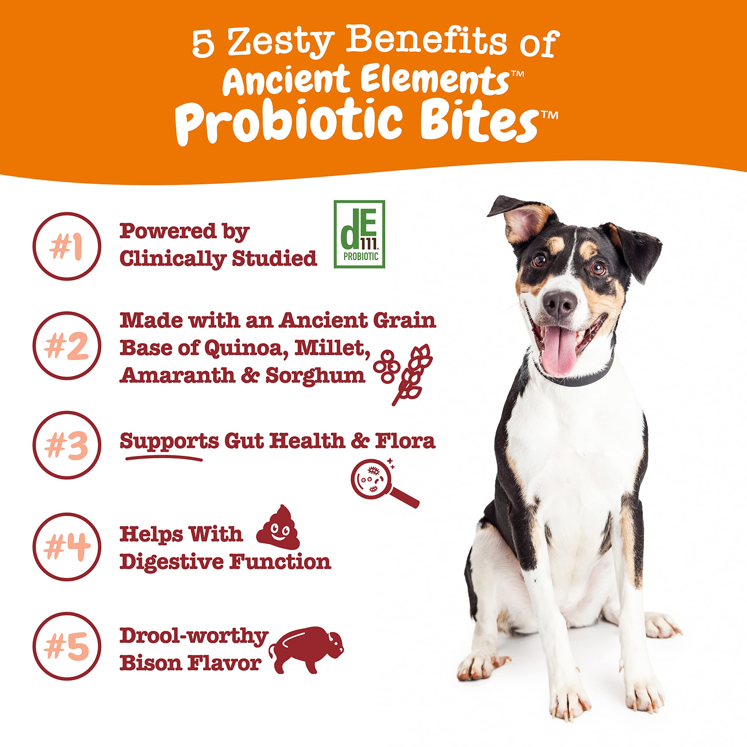 Foto 4 pulgar | Suplemento Para Perros Zesty Paws, Probióticos, Enzimas Digestivas, 90 Unidades - Venta Internacional.
