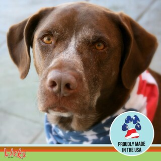 Foto 7 | Supplement Licks Digestion Para Perros Sin Pastillas, 30 Paquetes De Gel - Venta Internacional.