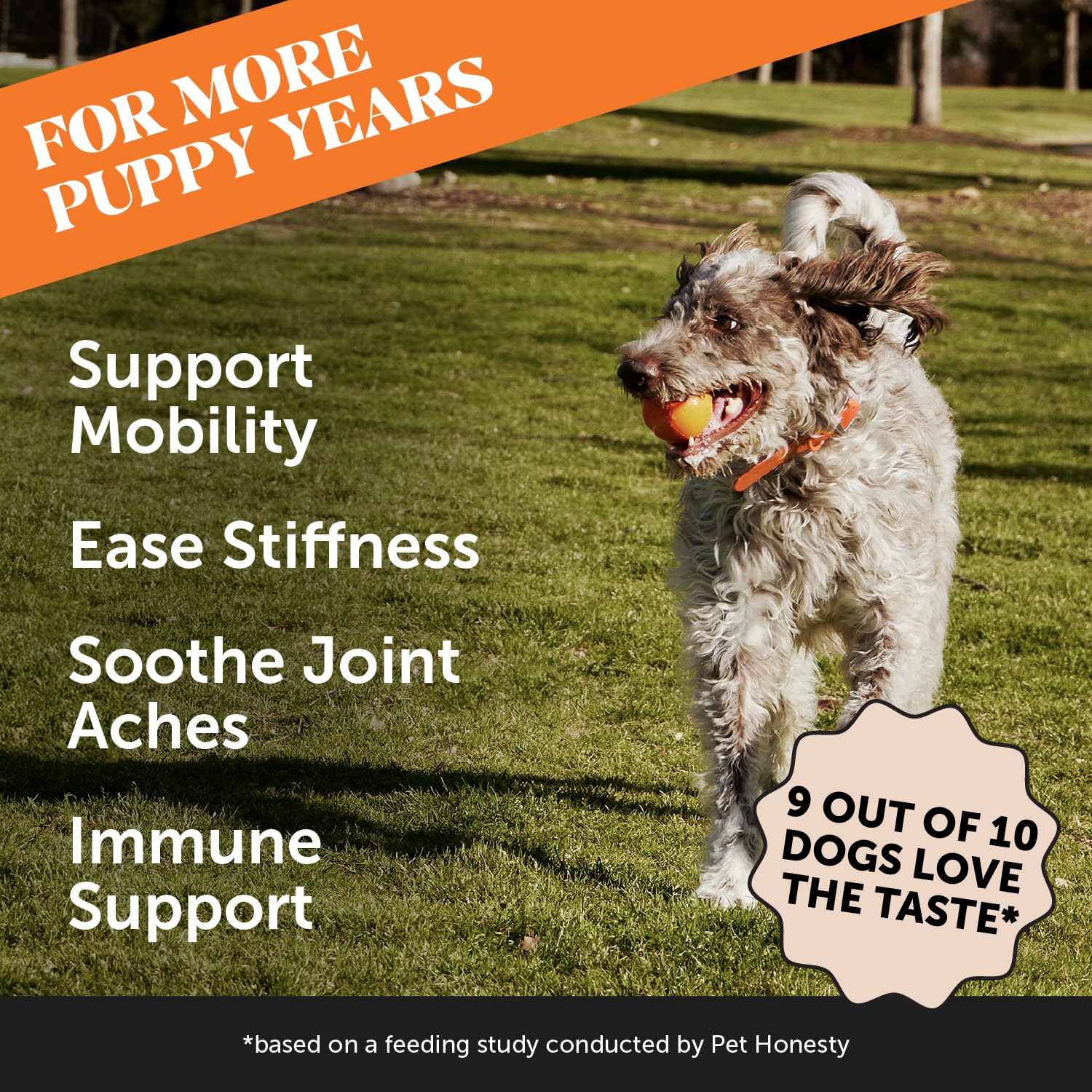 Foto 3 pulgar | Joint Supplement Pet Honesty Hip & Joint Curcuma Para Perros - Venta Internacional.