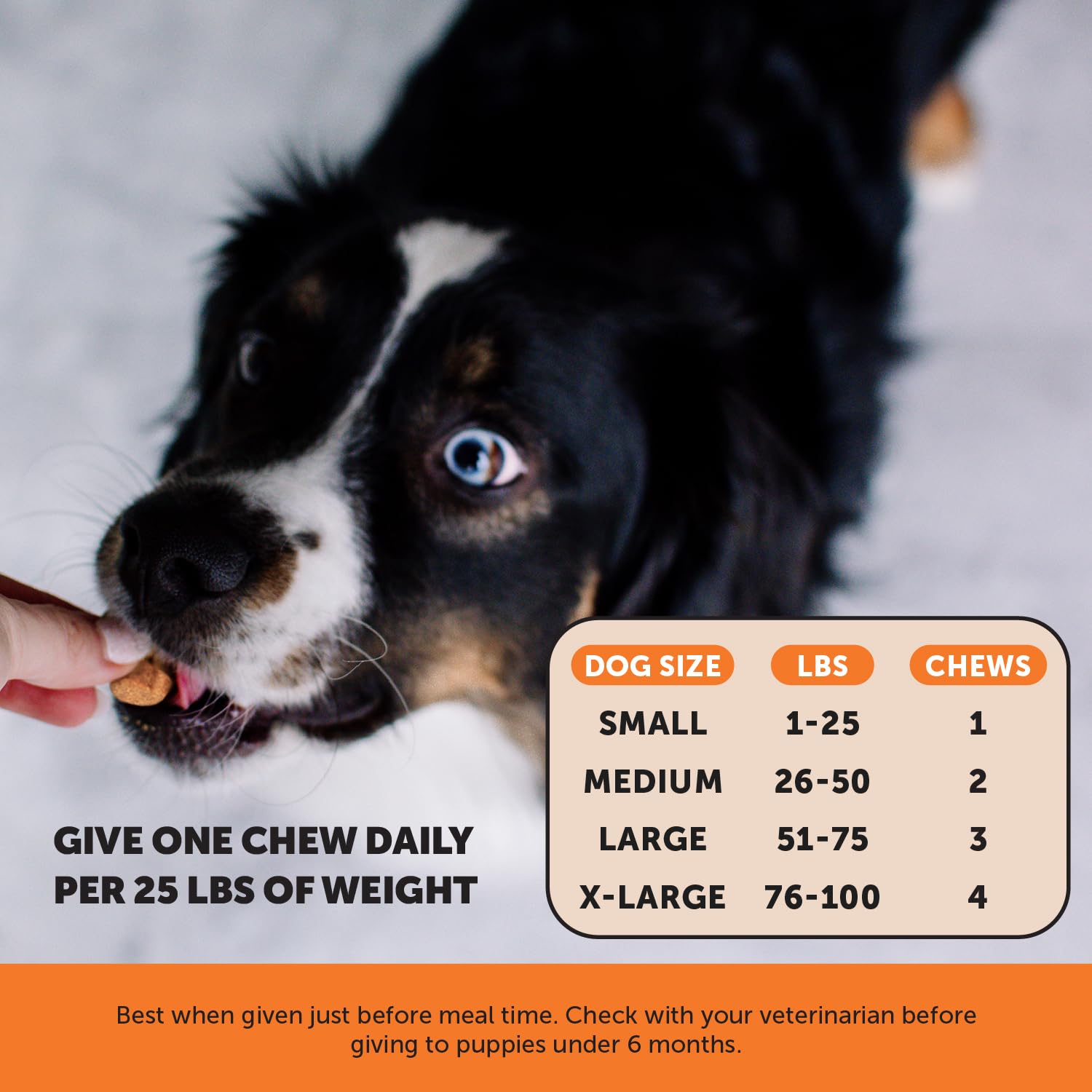 Foto 5 pulgar | Joint Supplement Pet Honesty Hip & Joint Curcuma Para Perros - Venta Internacional.
