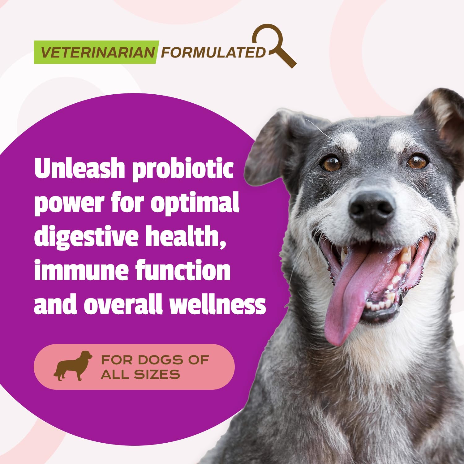 Foto 3 pulgar | Dog Probiotic Pet Naturals Daily 120 Ml Cfus 60 Masticables - Venta Internacional.