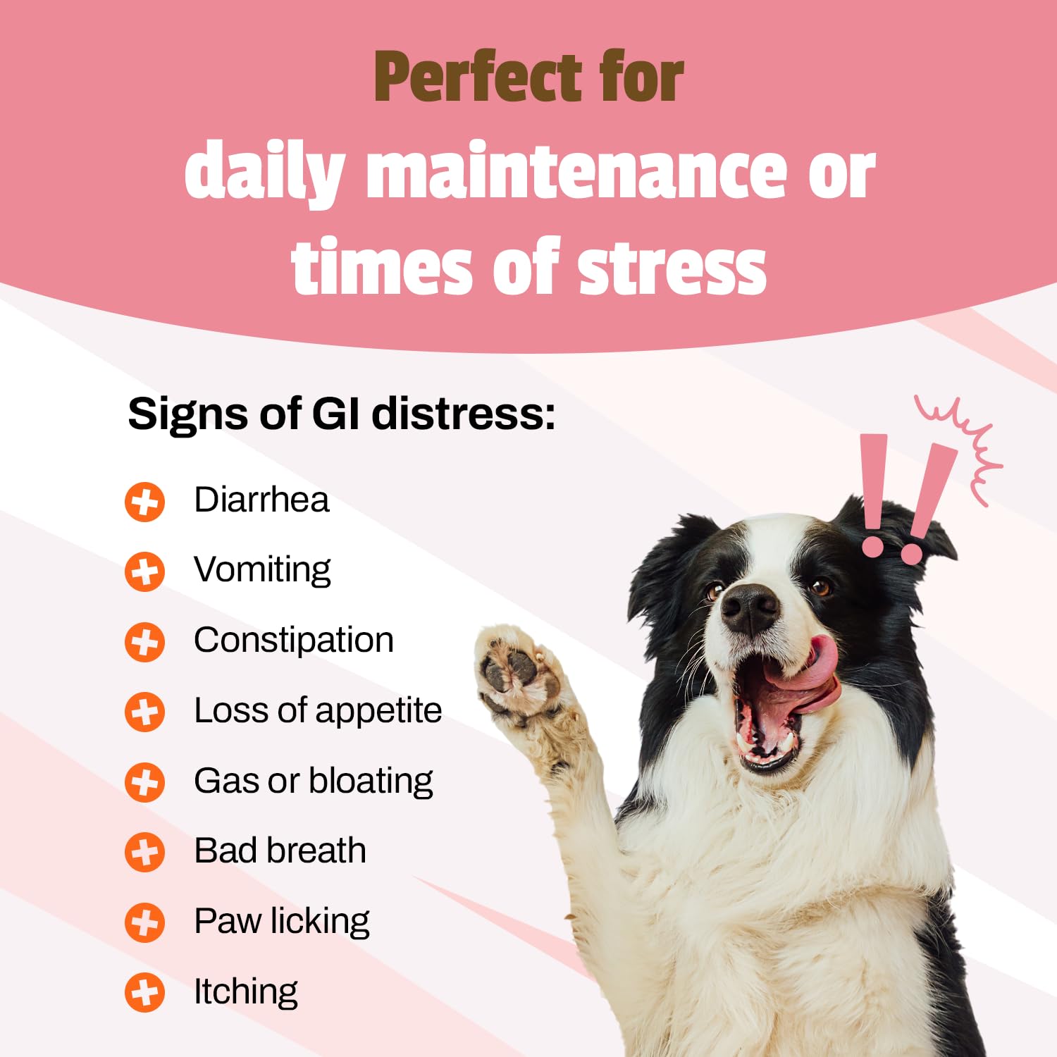 Foto 6 pulgar | Dog Probiotic Pet Naturals Daily 120 Ml Cfus 60 Masticables - Venta Internacional.