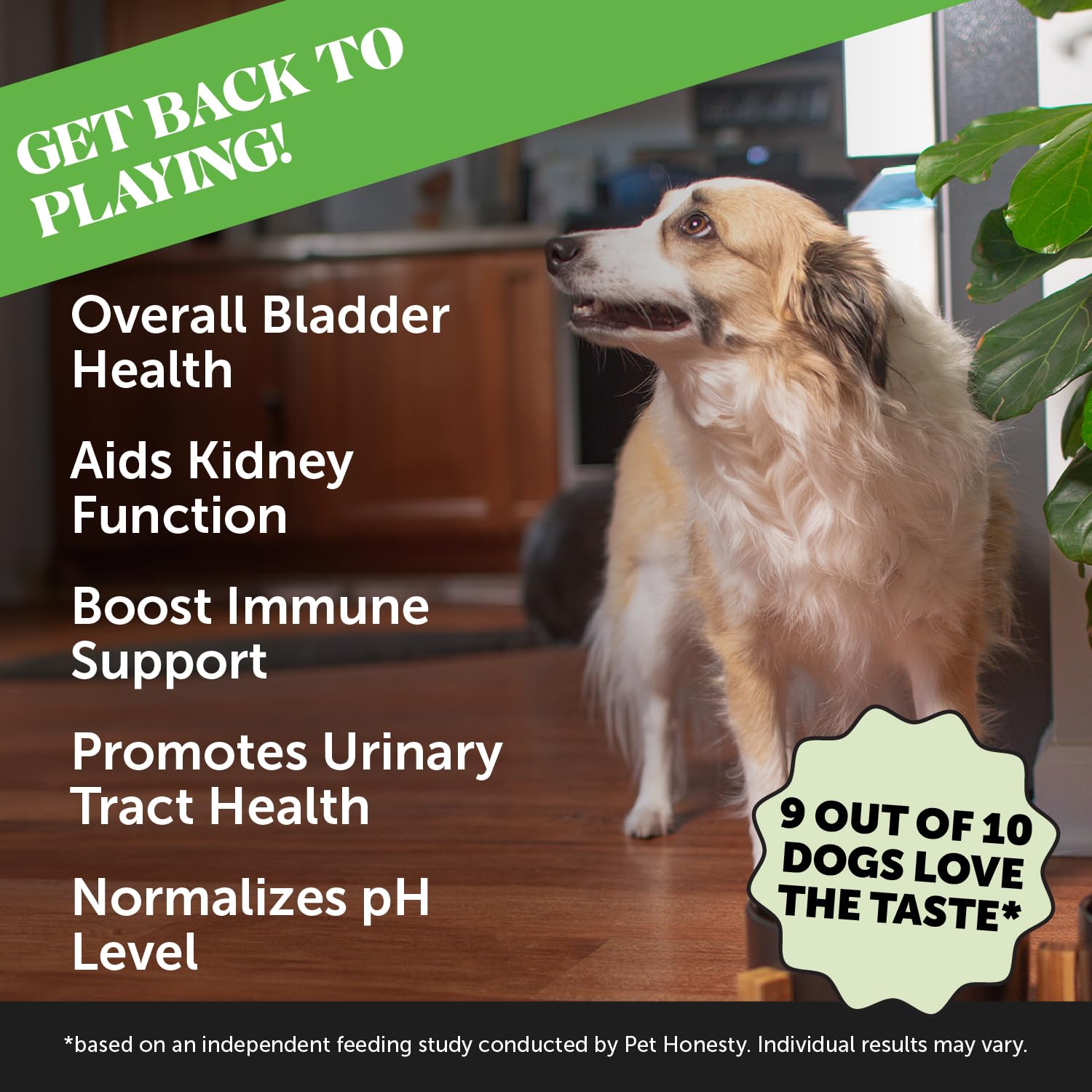 Foto 3 pulgar | Suplemento Pet Honesty Bladder Health Cranberry Para Perros - Venta Internacional.