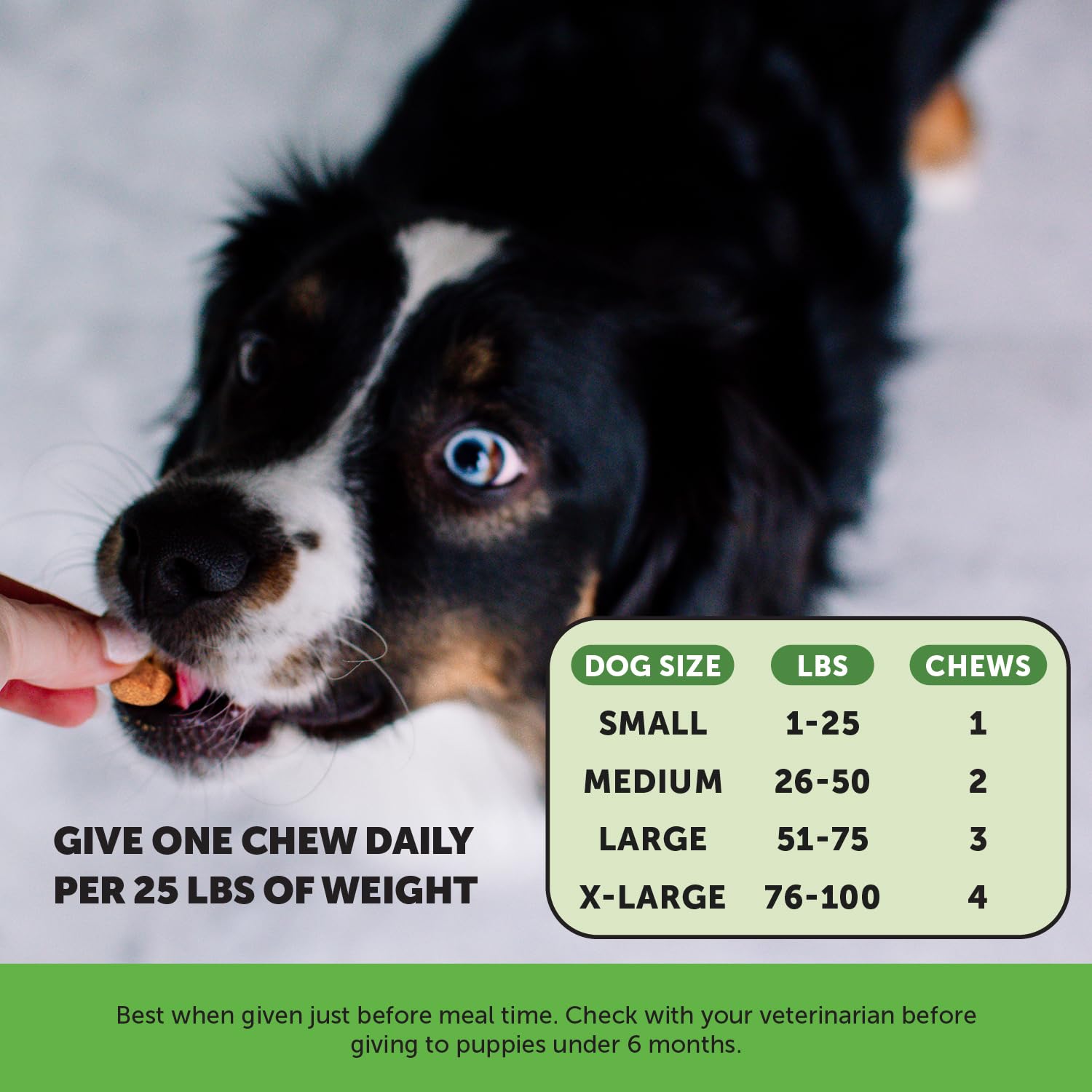 Foto 6 pulgar | Suplemento Pet Honesty Bladder Health Cranberry Para Perros - Venta Internacional.
