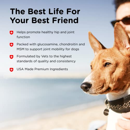 Foto 6 pulgar | Suplementos Nutri-vet Advanced Strength Hip & Joint Dog - Venta Internacional.