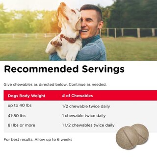 Foto 6 | Suplementos Nutri-vet Advanced Strength Hip & Joint Dog - Venta Internacional.