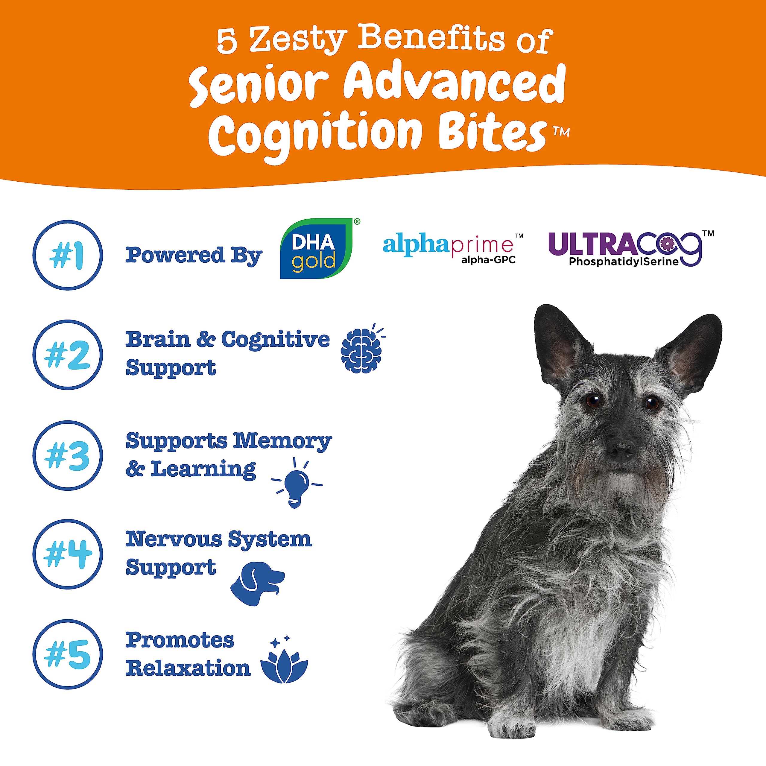 Foto 3 pulgar | Suplemento Zesty Paws Advanced Cognition Para Perros Mayores, 90 Unidades - Venta Internacional.