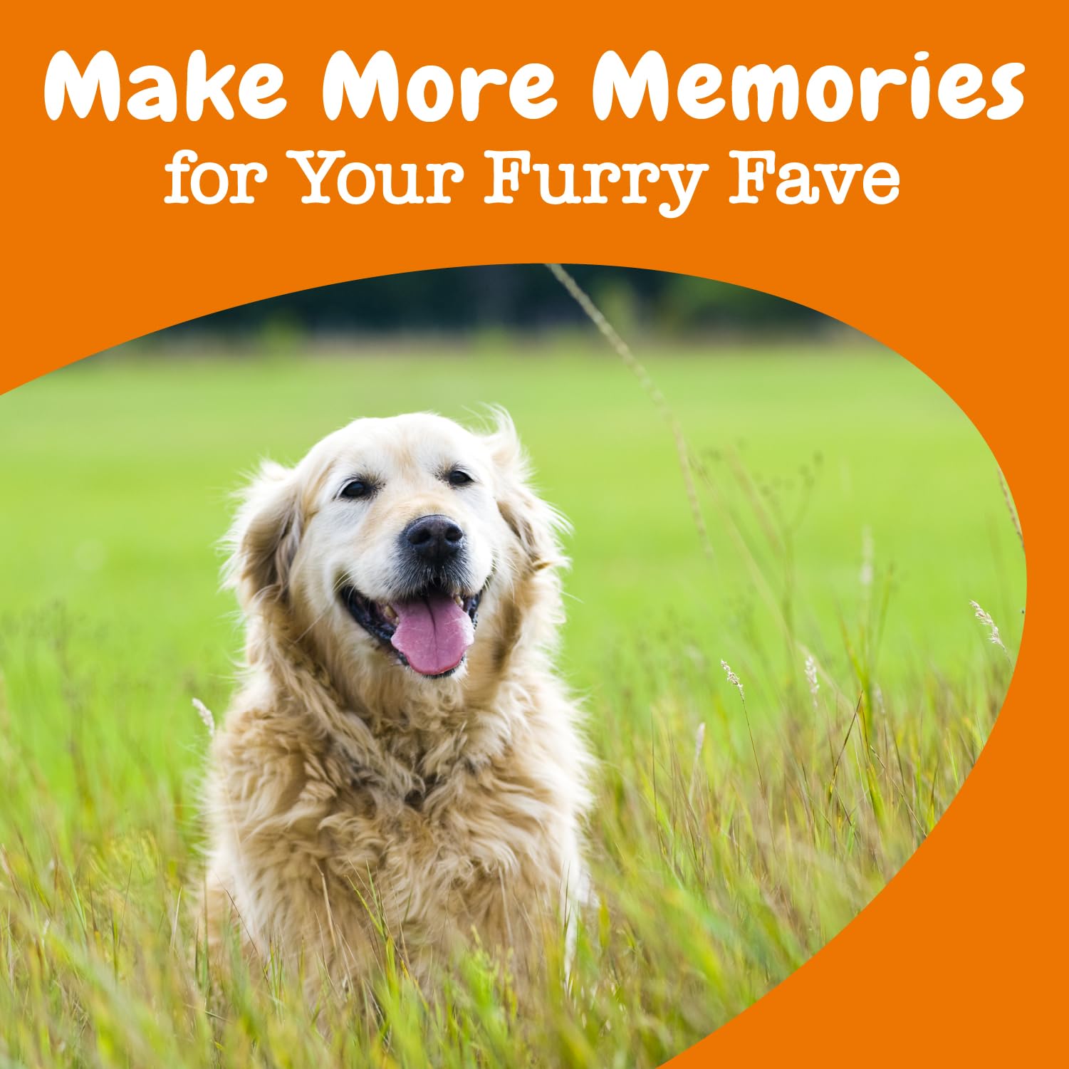 Foto 8 pulgar | Suplemento Zesty Paws Advanced Cognition Para Perros Mayores, 90 Unidades - Venta Internacional.