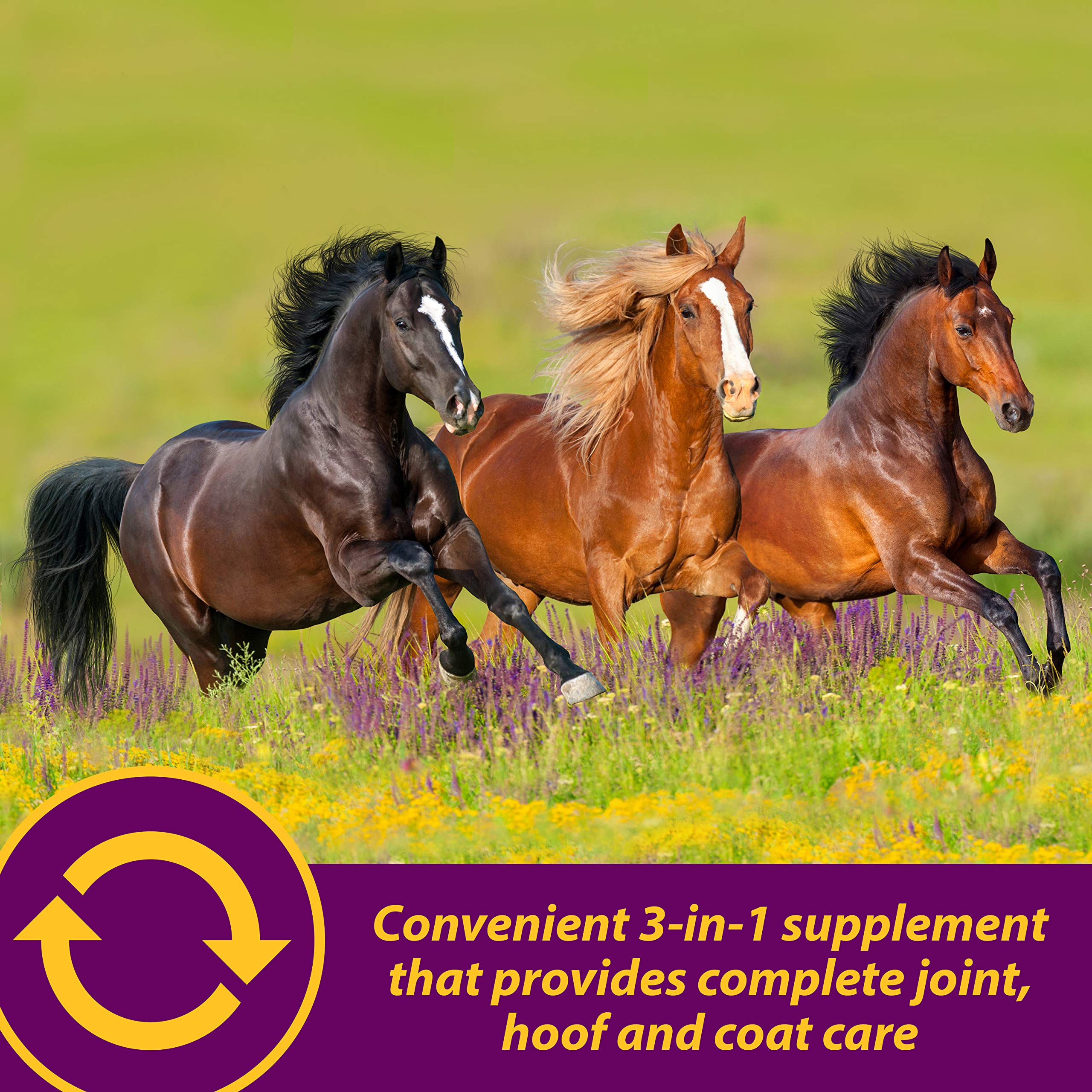Foto 5 pulgar | Suplemento Farnam Horse Health Joint Combo Para Pezuña Y Abrigo, 8 Libras - Venta Internacional.