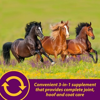 Foto 4 | Suplemento Farnam Horse Health Joint Combo Para Pezuña Y Abrigo, 8 Libras - Venta Internacional.