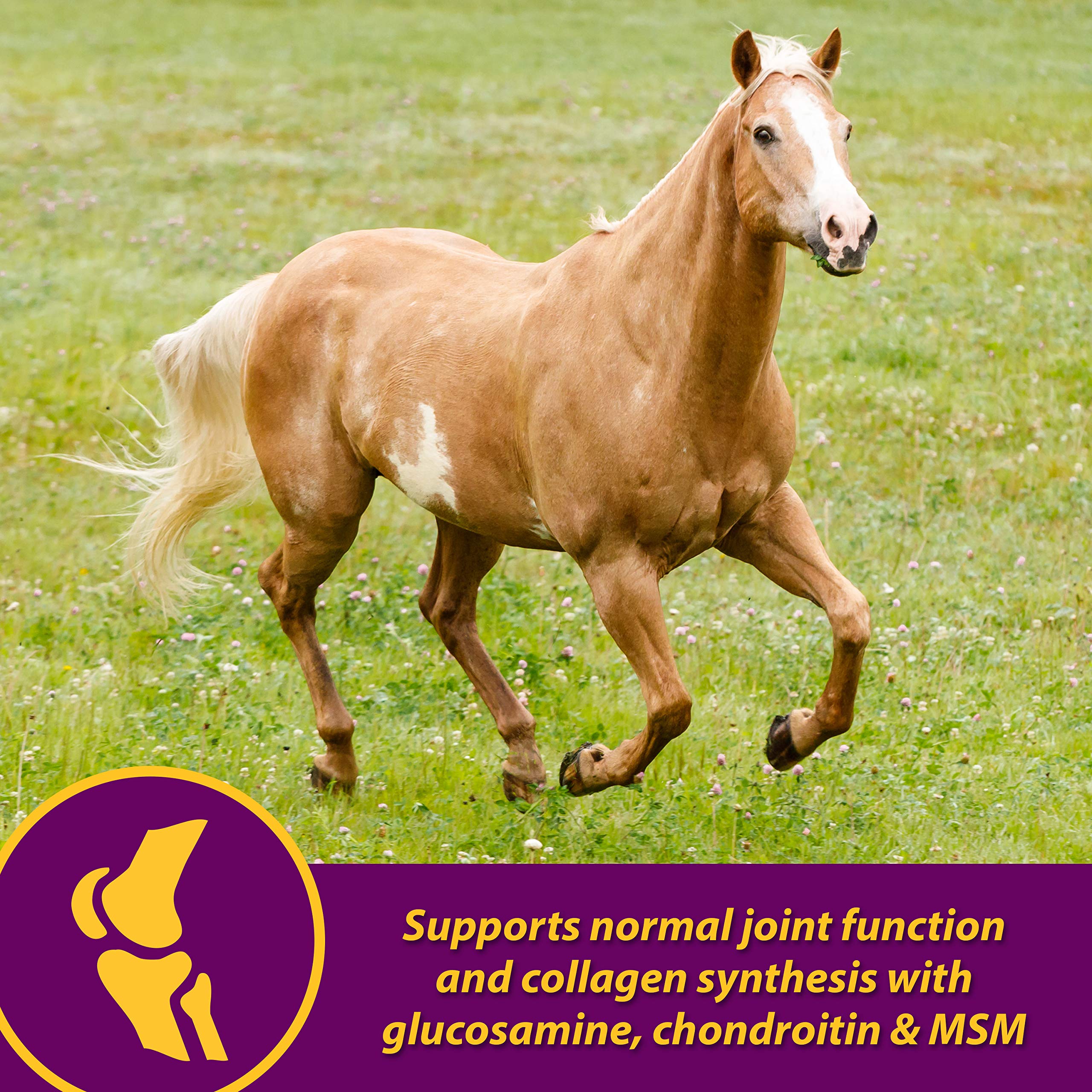 Foto 5 | Suplemento Farnam Horse Health Joint Combo Para Pezuña Y Abrigo, 8 Libras - Venta Internacional.
