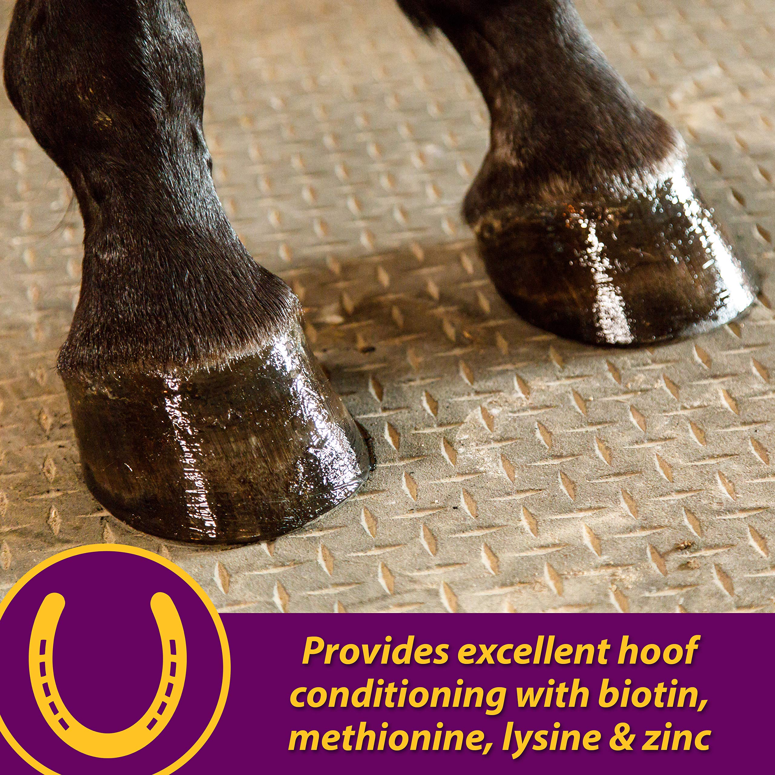 Foto 7 pulgar | Suplemento Farnam Horse Health Joint Combo Para Pezuña Y Abrigo, 8 Libras - Venta Internacional.