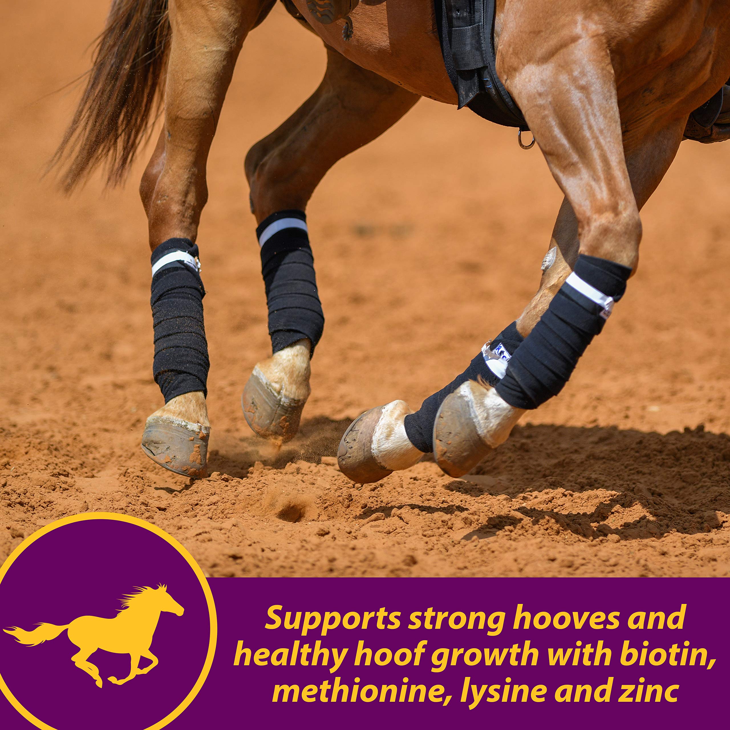 Foto 7 | Suplemento Farnam Horse Health Joint Combo Para Pezuña Y Abrigo, 8 Libras - Venta Internacional.