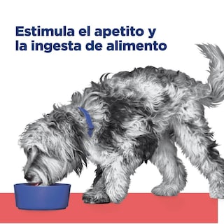 Foto 2 | Hill's Canino Onc 2.7 Kg 1 Unid X Caja Sellado, Original
