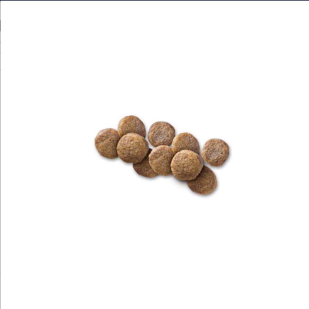 Foto 4 pulgar | Hill's Canino Z/d 3.2 Kg 1 Unid X Caja