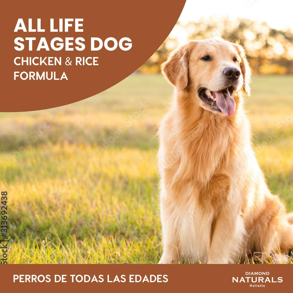 Foto 3 pulgar | Diamondnaturals Chiken & Rice Formula 18.14 Kg