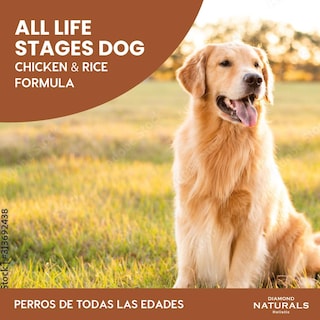 Foto 2 | Diamondnaturals Chiken & Rice Formula 18.14 Kg