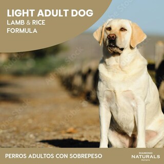 Foto 2 | Diamondnaturals Lamb & Rice Formula13.58 Kg