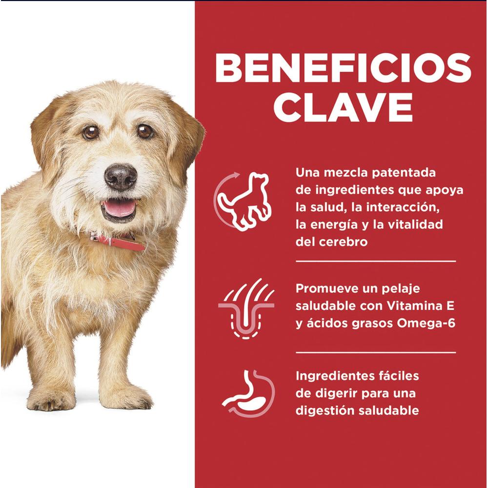 Foto 3 pulgar | Hill's Canino Adult 2 Kg 1 Unid X Caja