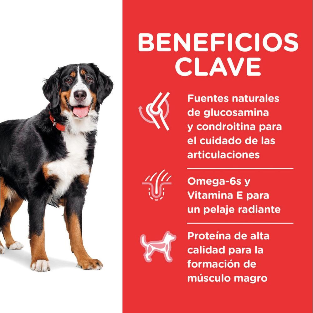 Foto 2 | Hill's Canino Adult Large 15 Kg 1 Unid X Caja