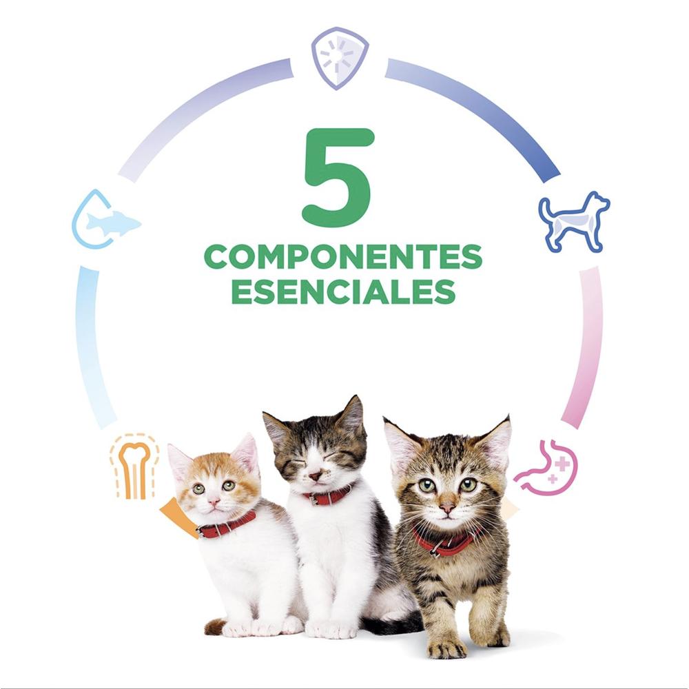 Foto 7 pulgar | Hill's Felino Kitten 1.6 Kg 1 Unid X Caja