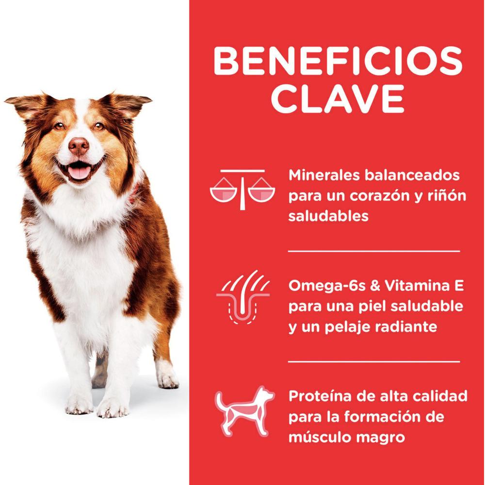 Foto 4 pulgar | Hill's Canino Adult 7 12 Kg 1 Unid X Caja