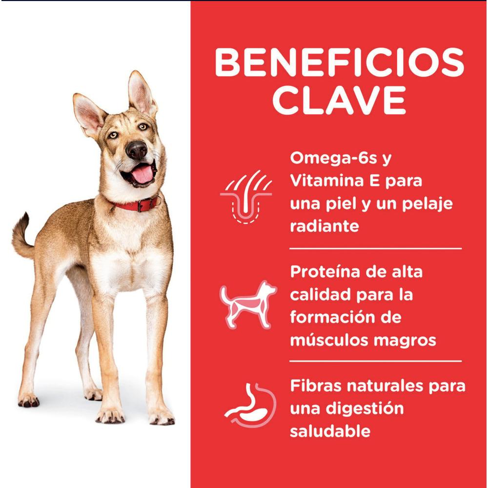 Foto 4 | Hill's Canino Adult 15 Kg 1 Unid X Caja
