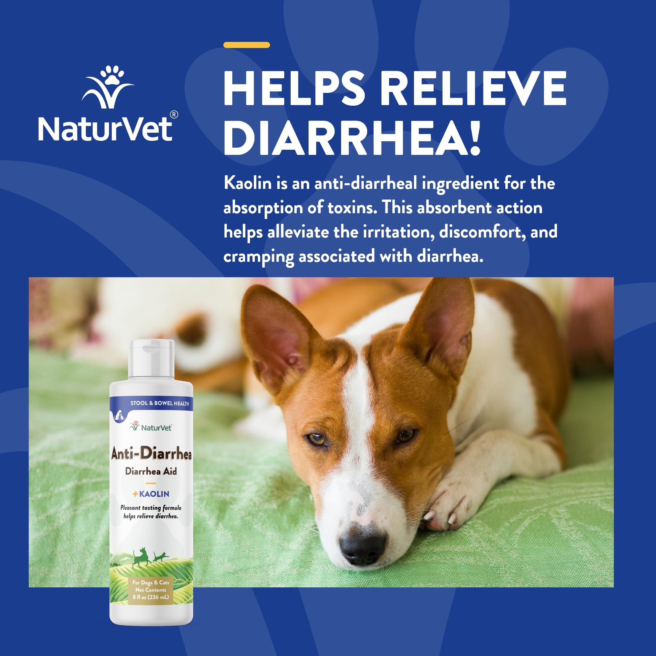 Foto 5 pulgar | Suplemento Para Mascotas Naturvet, Líquido Antidiarreico, 240 Ml, Para Perros Y Gatos - Venta Internacional.
