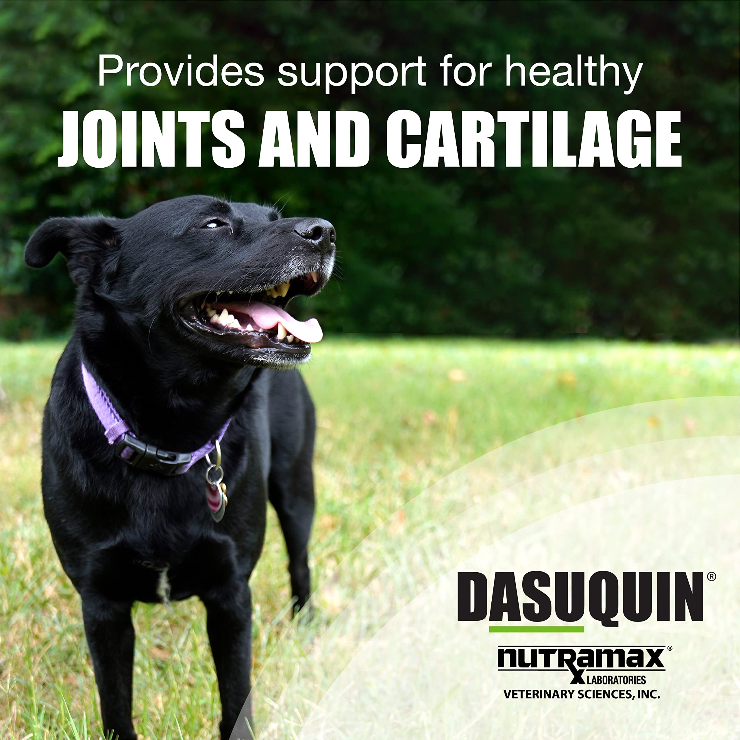 Foto 3 pulgar | Suplemento Para La Salud De Las Articulaciones Nutramax Dasuquin Para Perros  60 Libras - Venta Internacional.