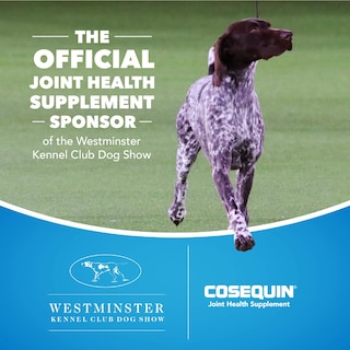 Foto 4 | Suplemento Para La Salud De Las Articulaciones Nutramax Cosequin Ds Para Perros 250 Comprimidos - Venta Internacional.