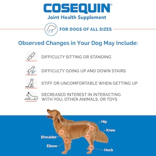 Foto 5 | Suplemento Para La Salud De Las Articulaciones Nutramax Cosequin Ds Para Perros 250 Comprimidos - Venta Internacional.
