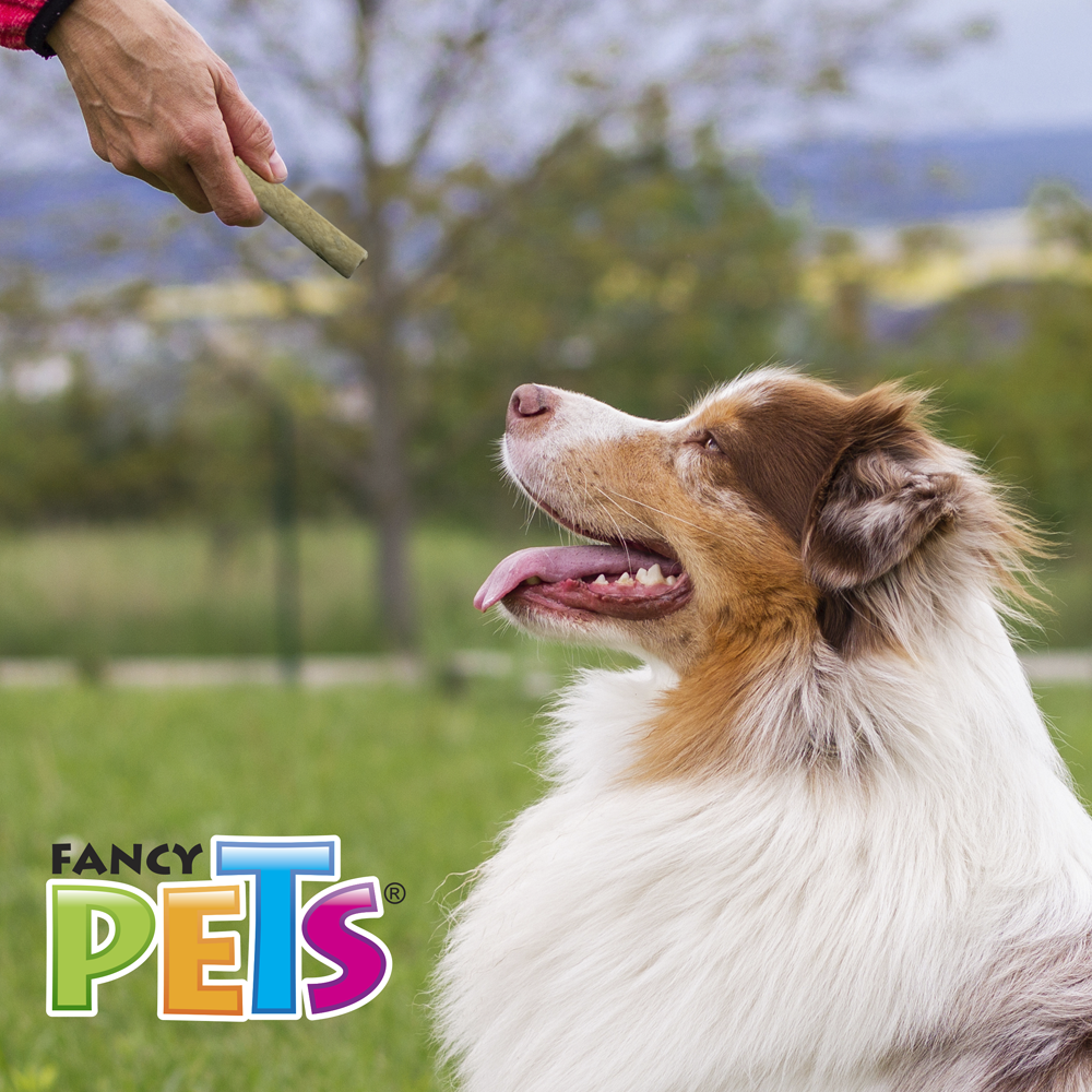 Foto 4 pulgar | Fancy Pets Palitos Gruesos De Carnaza De Res Sabores Variados Para Perros Con 20 Piezas
