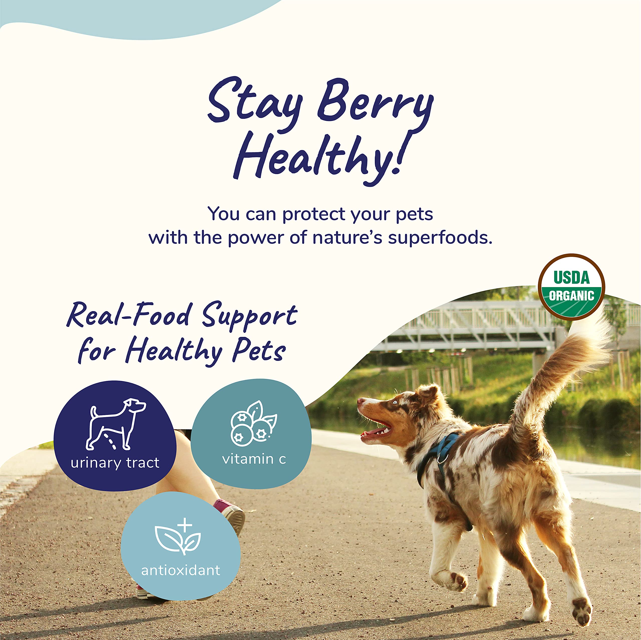Foto 4 | Suplemento En Polvo Tipo Arándano Natural Para Perros Y Gatos - Venta Internacional.