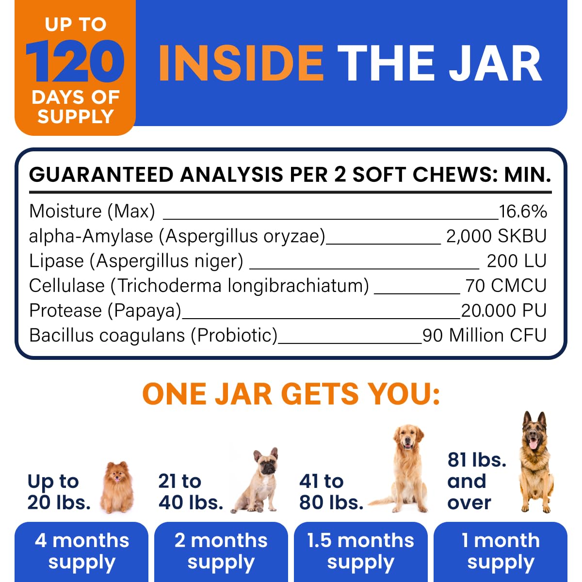 Foto 7 | Suplemento De Probióticos Y Enzimas Digestivas Para Perros Bark&spark - Venta Internacional.