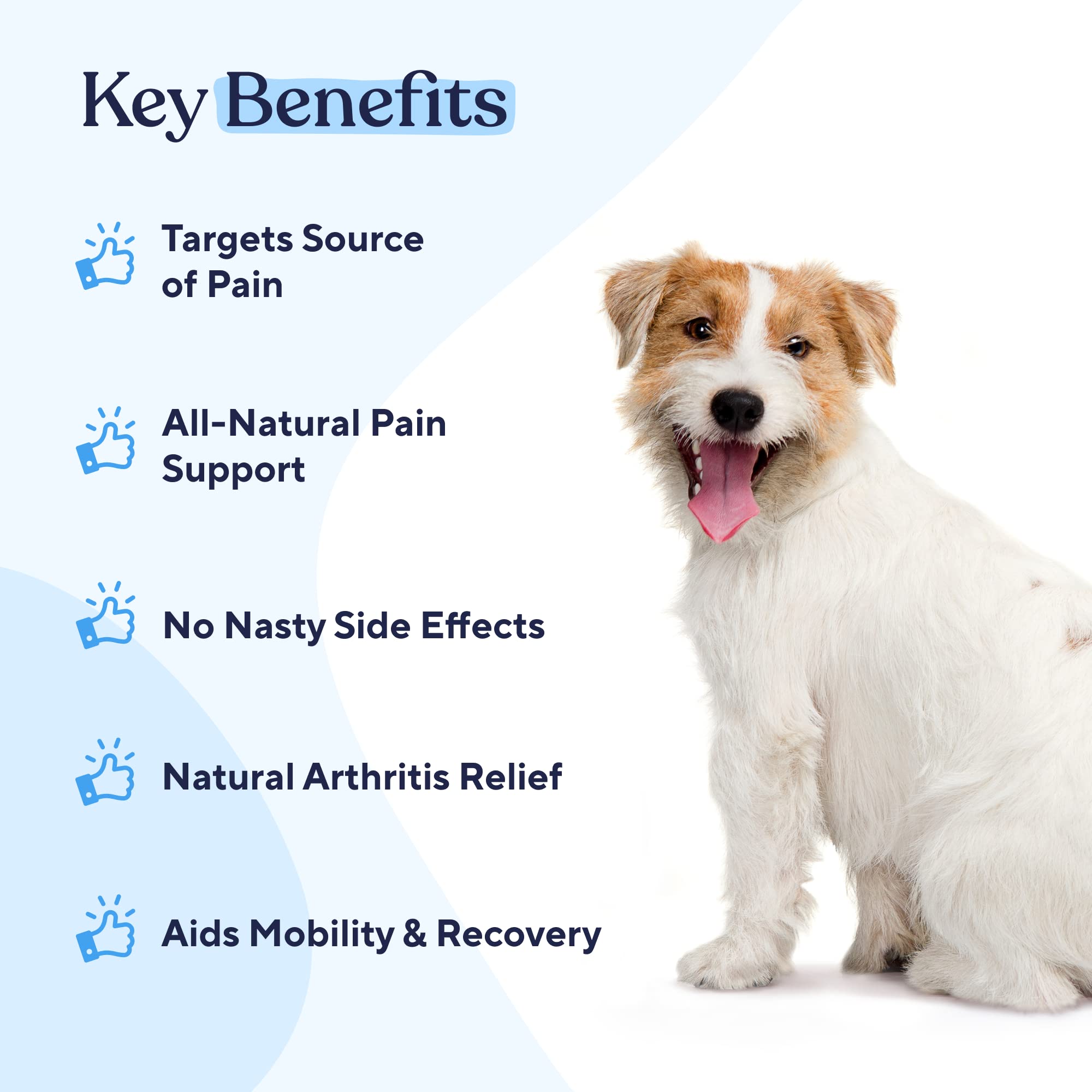 Foto 2 | Suplemento Antiinflamatorio Pawfy Dog Pawfy Pain Relief 30 Masticables - Venta Internacional.