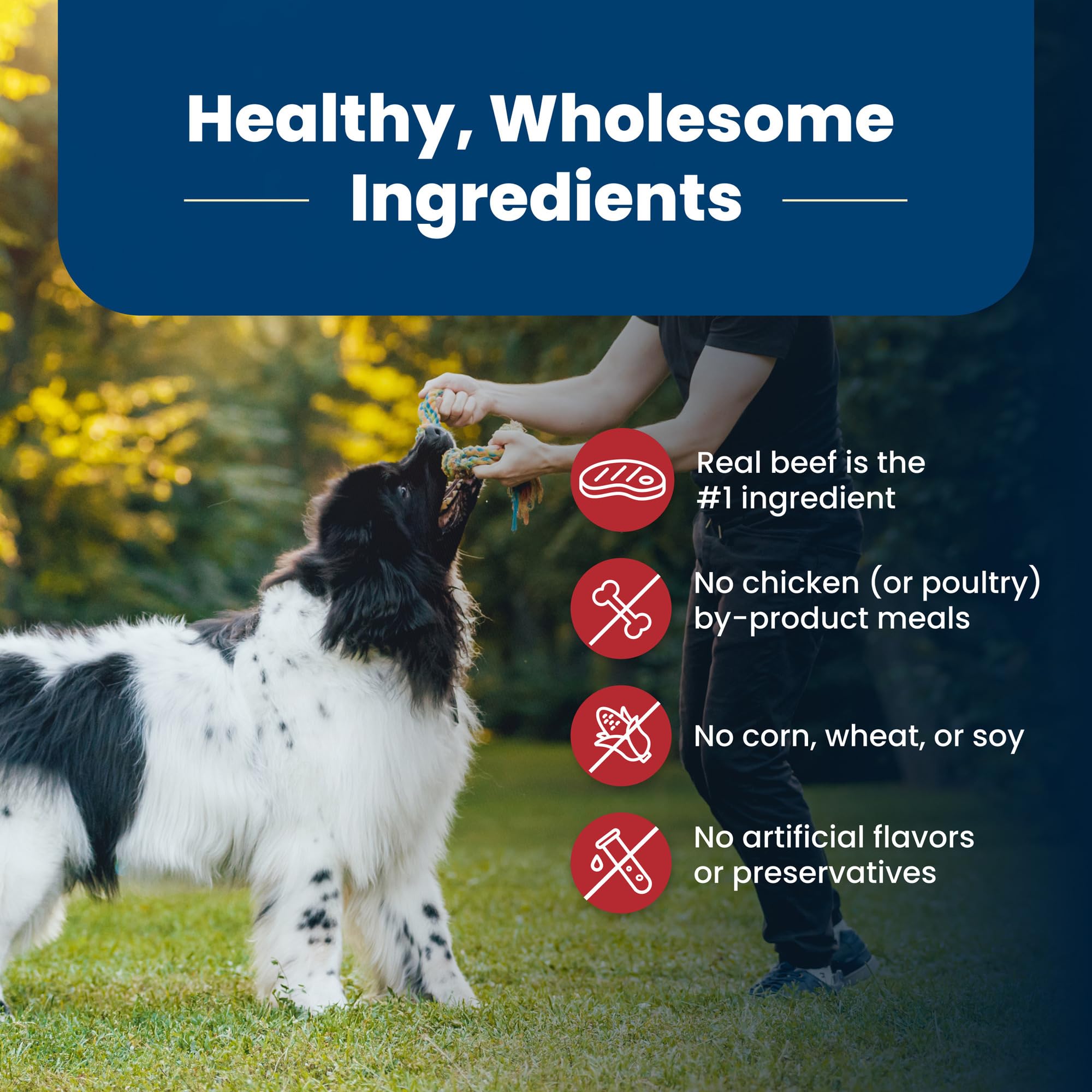 Foto 7 | Alimento Para Perros Blue Buffalo Life Protection, Carne De Res Para Adultos, 6,8 Kg - Venta Internacional.