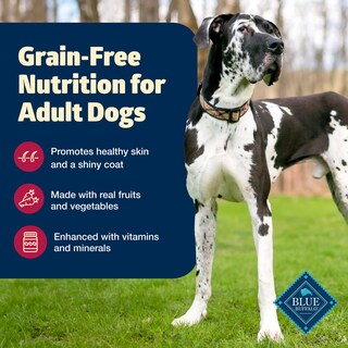 Foto 3 | Comida Para Perros Blue Buffalo Freedom, Carne De Res Sin Cereales, Bolsa De 5 Kg - Venta Internacional.