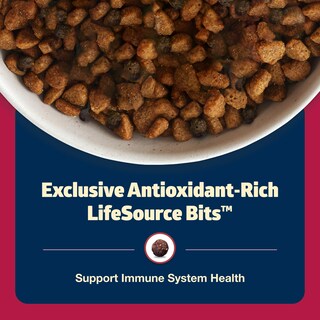 Foto 7 | Comida Para Perros Blue Buffalo Freedom, Carne De Res Sin Cereales, Bolsa De 5 Kg - Venta Internacional.