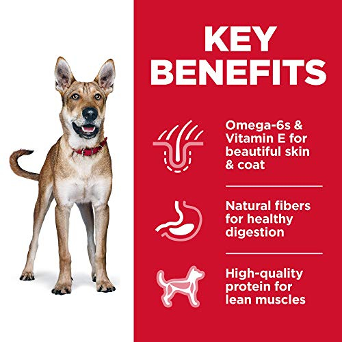 Foto 5 pulgar | Alimento Seco Para Perros Hill's Science Diet, Adulto, Recet - Venta Internacional.