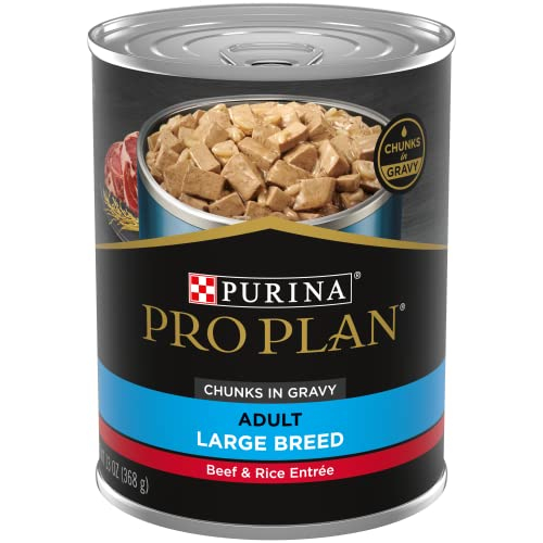 Comida Húmeda Para Perros Purina Pro Plan Salvy Para Perros Grandes, 3,8 L De Carne De Res - Venta Internacional.