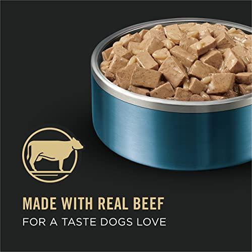 Foto 4 pulgar | Comida Húmeda Para Perros Purina Pro Plan Salvy Para Perros Grandes, 3,8 L De Carne De Res - Venta Internacional.