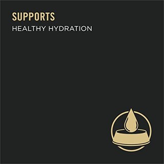 Foto 5 | Alimento Húmedo Para Perros Purina Pro Plan Sport Para Adultos Con Alto Contenido De Proteínas - Venta Internacional.