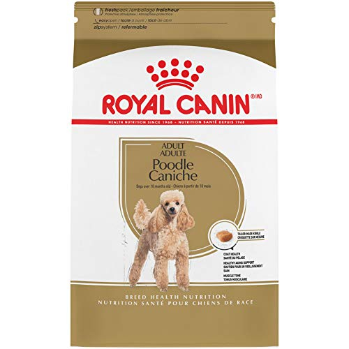 Alimento Para Perros Royal Canin Poodle Raza Adulta 4,5 Kg - Venta Internacional.