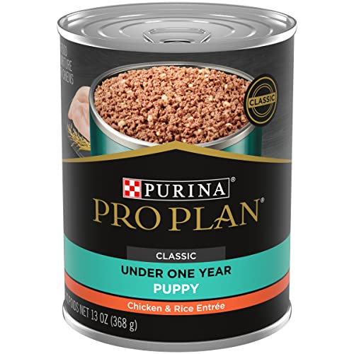 Alimento Húmedo Para Cachorros Purina Pro Plan Focus Pollo Y Arroz 390 G - Venta Internacional.