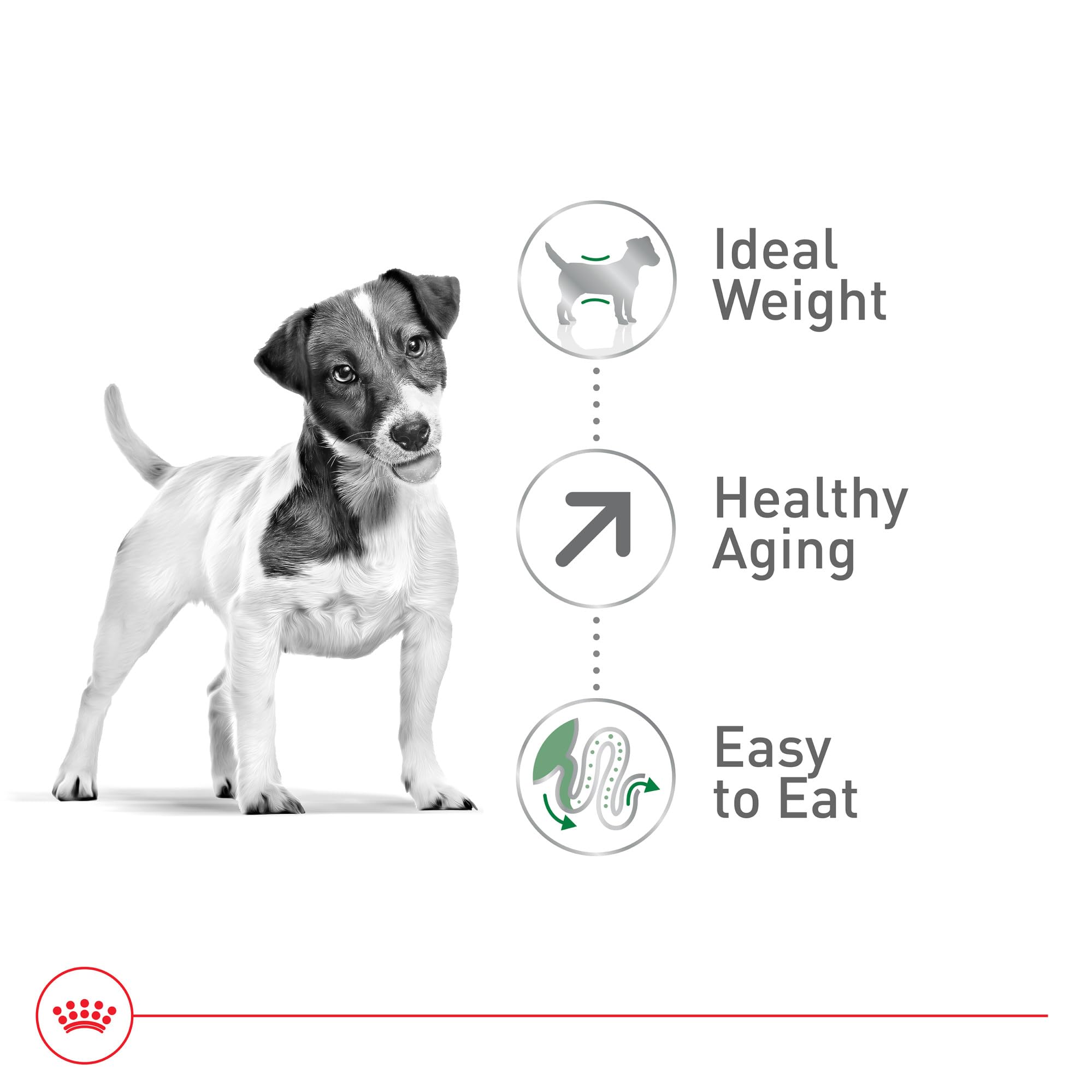 Foto 4 | Alimento Seco Para Perros Royal Canin Small Aging 12+ Para Perros De 4,5 A 10 Kg - Venta Internacional.
