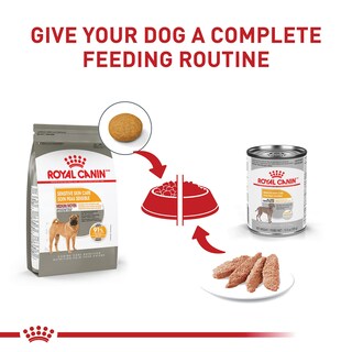 Foto 6 | Alimento Para Perros Royal Canin Medium Sensible Skin Care 7.7 Kg - Venta Internacional.